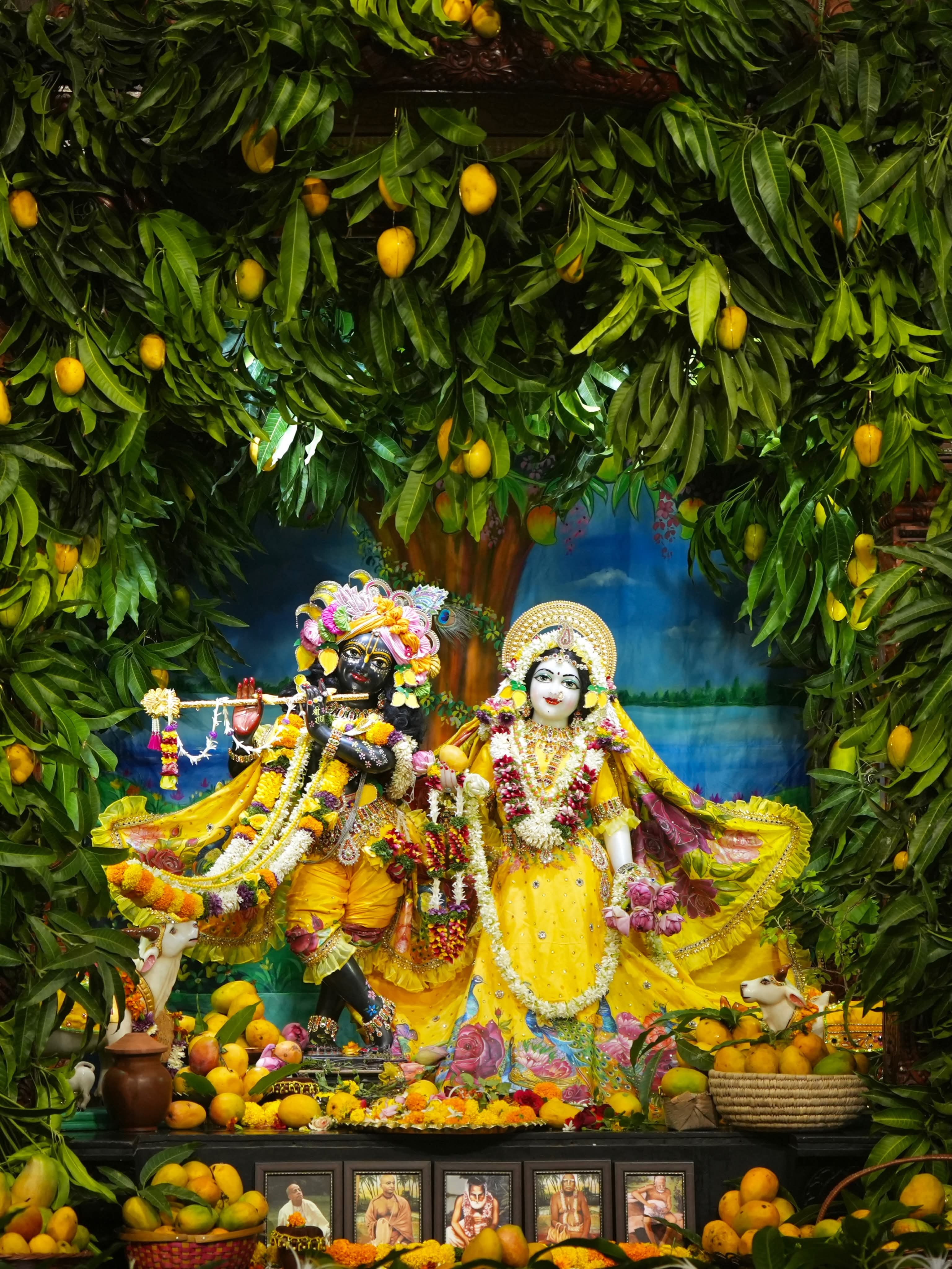 🌻Mango Festival - Special Darshan 🌻
