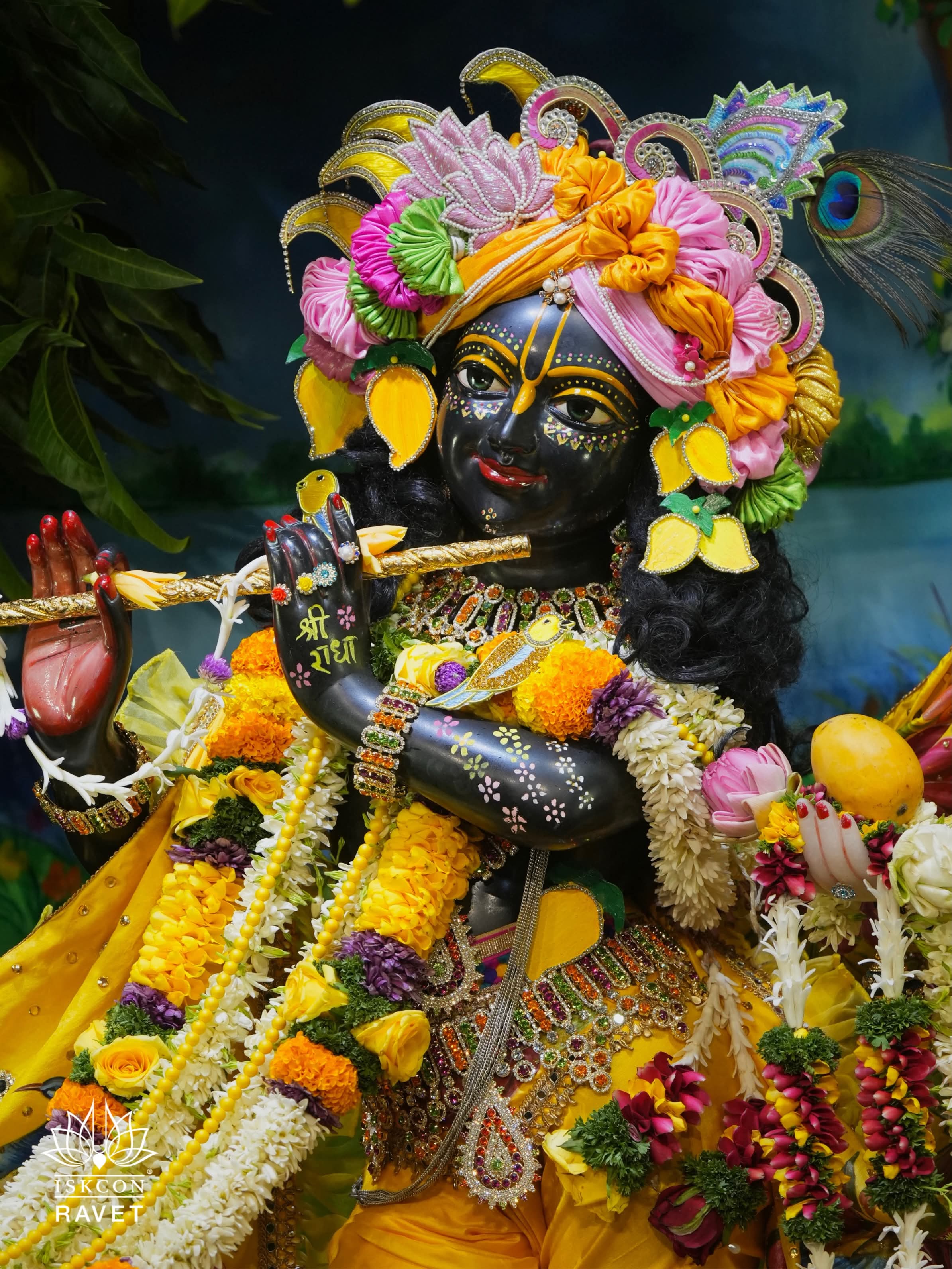 🌻Mango Festival - Special Darshan 🌻