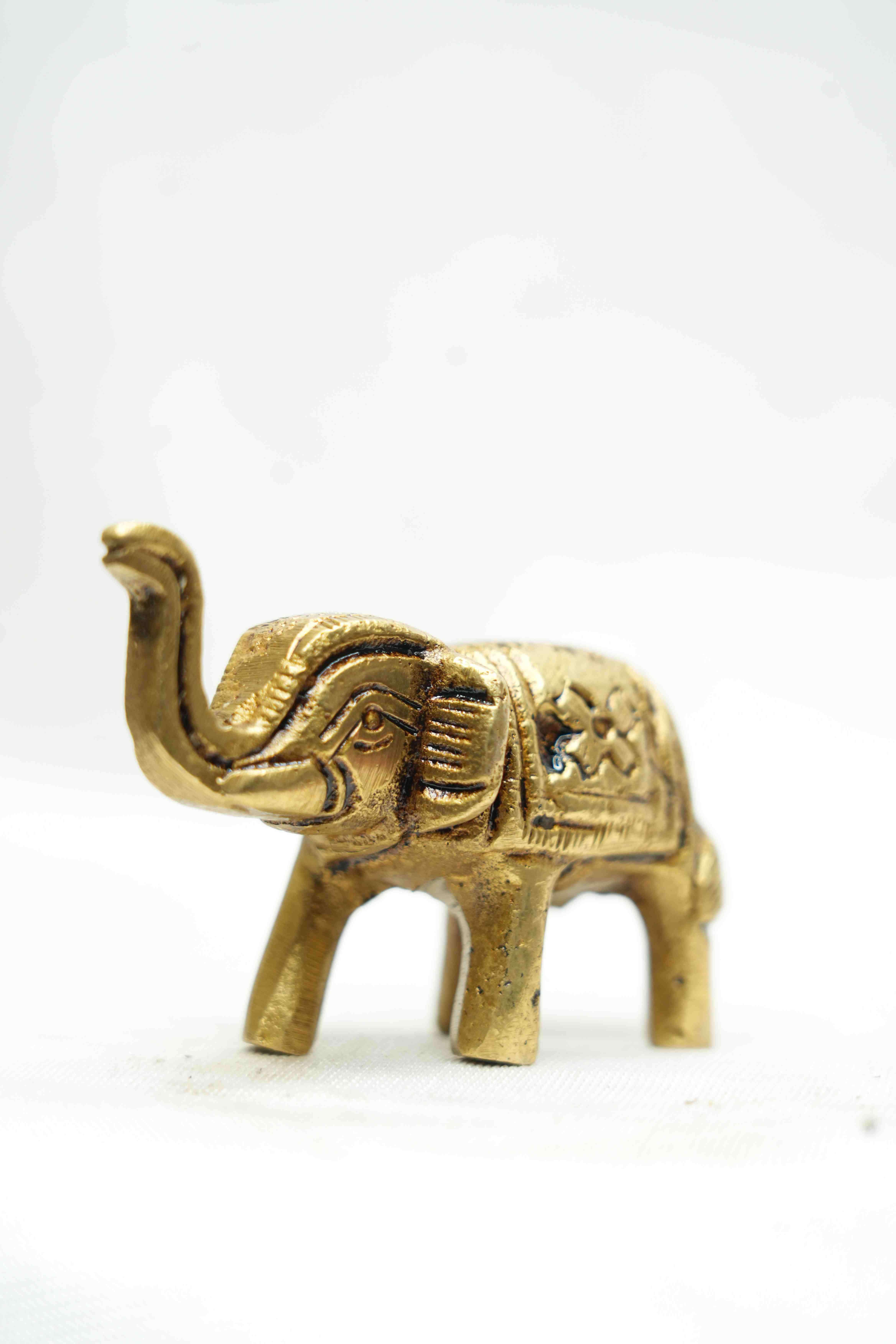 Elephant  Murti 900