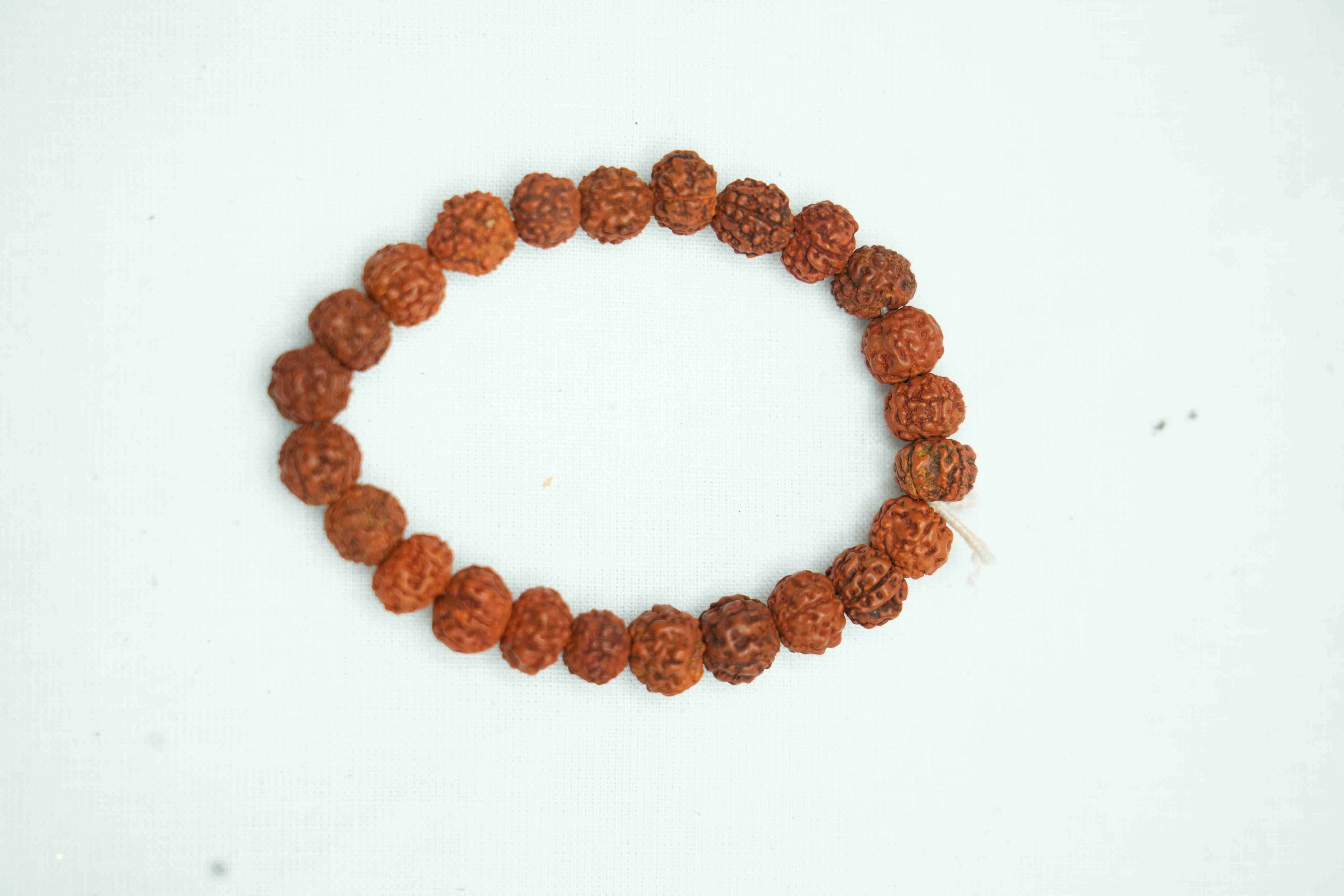 Plan Rudraksha Bracelet